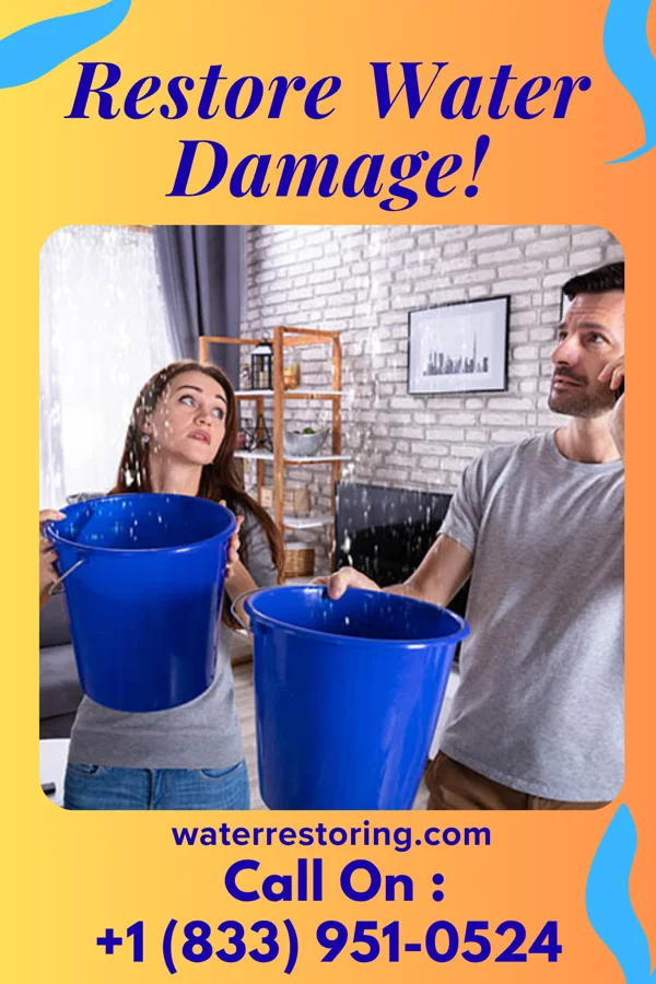 water restoration Ace Sewage Cleanup Masters Mexico